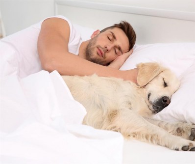 Featured image for “Americans Love Sleeping with Pets”